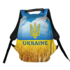 ukraina-pshenychne-pole.-ukraine-wheat-field