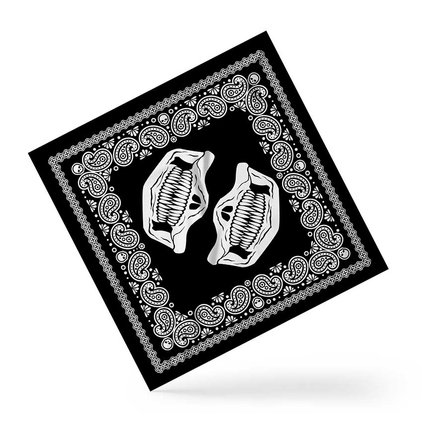 Scarf with Skull Pattern