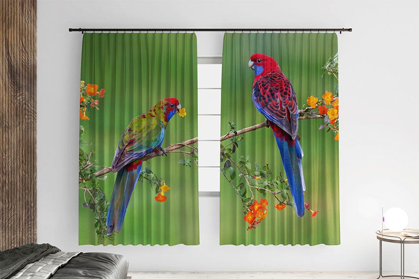 Bright Parrots Jungle