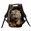zlyy-tyhr.-angry-tiger